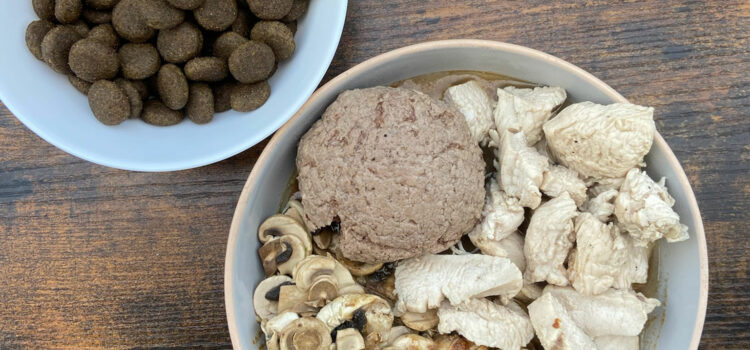 Idées reçues: quelle est la meilleure alimentation pour un chien ? – Vidéo