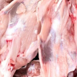 sous-produit animal