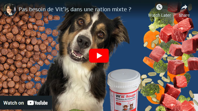 pas besoin de vit'i5 dans une ration mixte