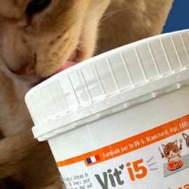 Vit'i5 chimique ou naturel