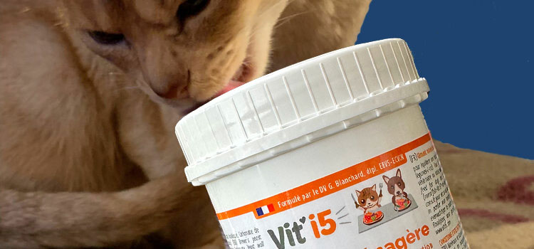 Vit'i5 chimique ou naturel