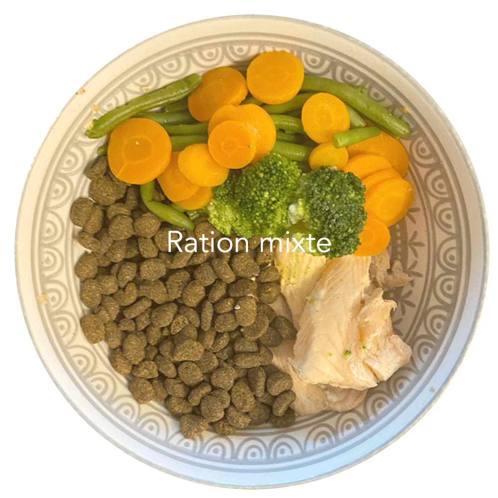 exemple de ration mixte