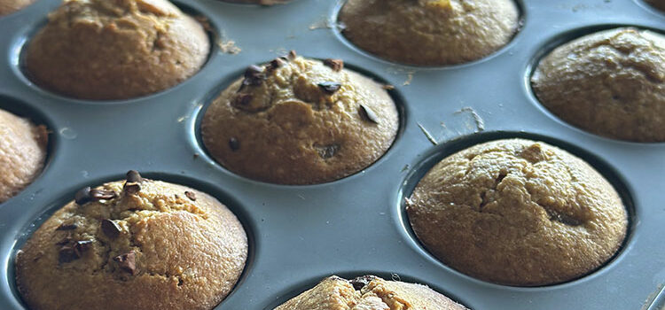Recette gâteau entre muffin et financier à partager avec chien et chat recette à partager avec son animal
