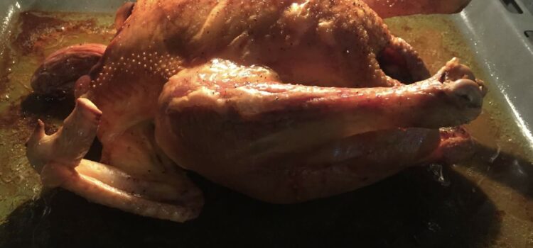 volaille de Noël par Géraldine Blanchard dr vétérinaire