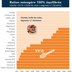 composition vit'i5 orange